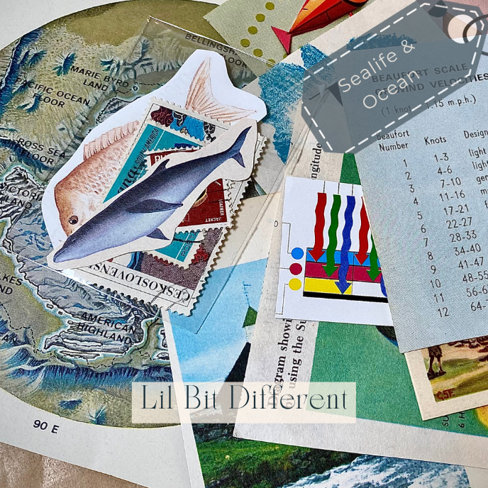 Sea & Water Life Scrappy Bundles