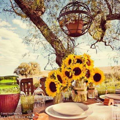 Art Director Photo Shoot, 2014 bu Bella sunflowers outside on picnic table  lil bit different 